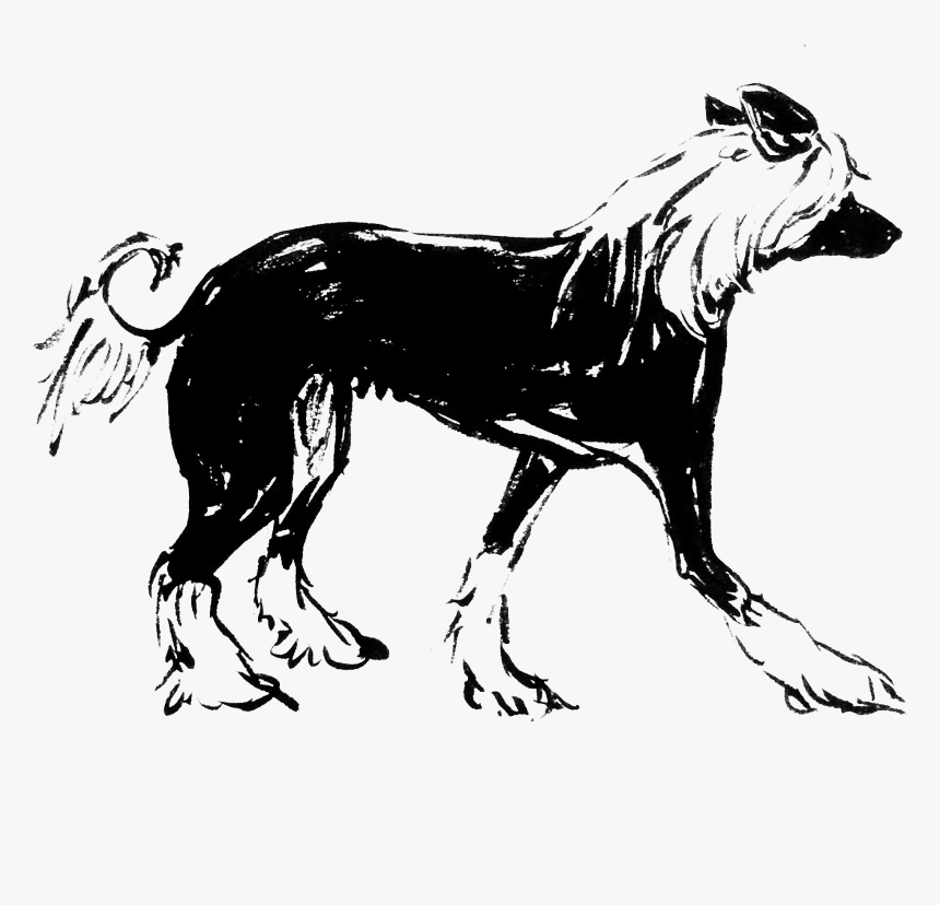 Dog Licks, HD Png Download