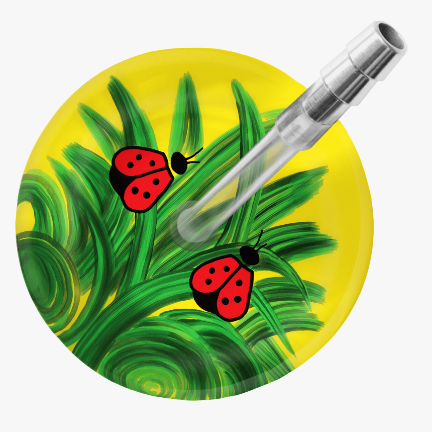 Insect, HD Png Download