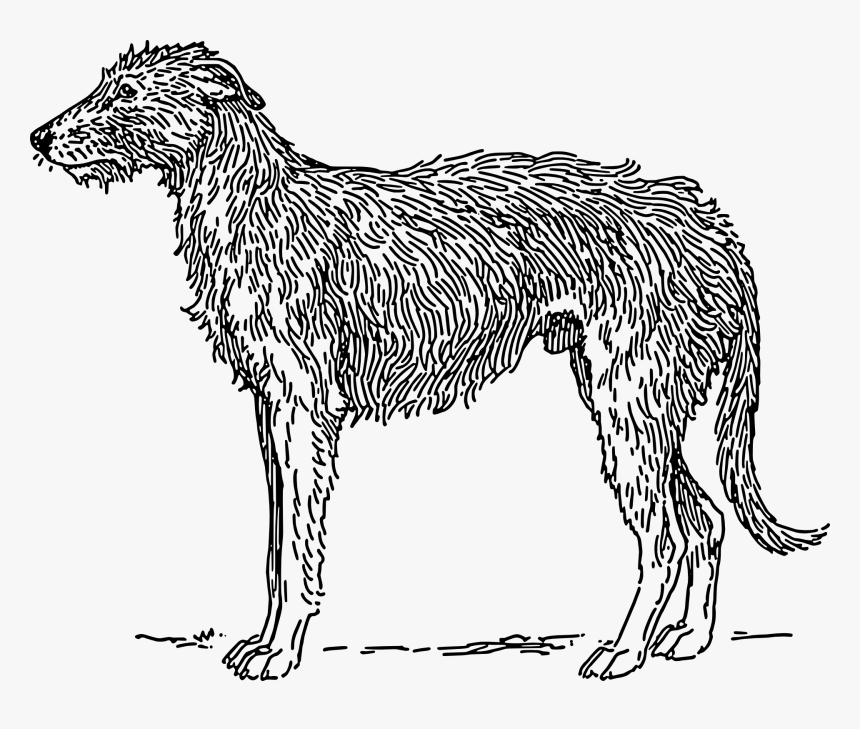 Drawings Of Animal Fur, HD Png Download