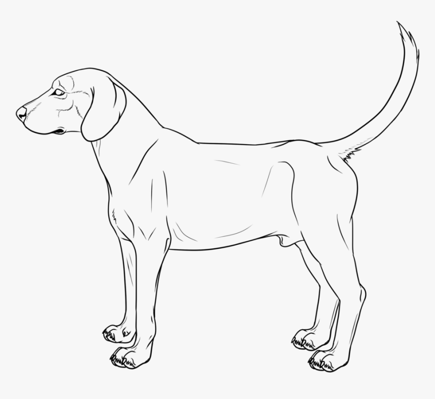 Hound Dog Lineart Cm By Galianogangster - Dog, HD Png Download