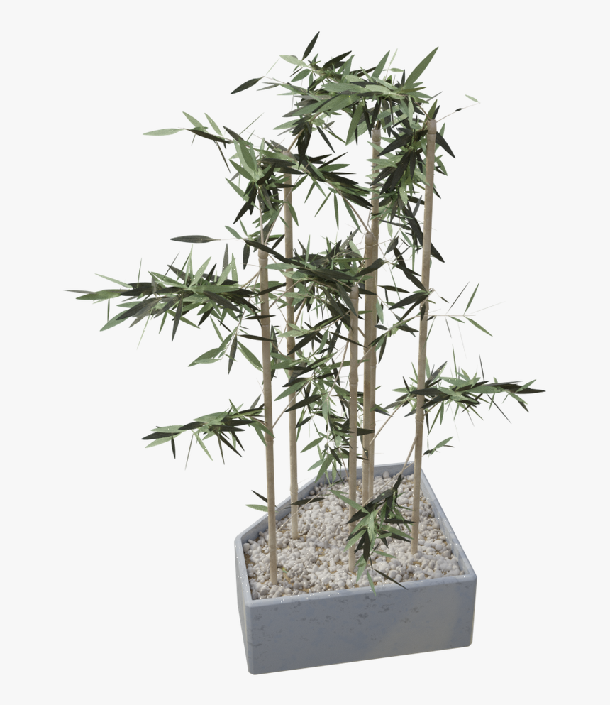 Houseplant, HD Png Download