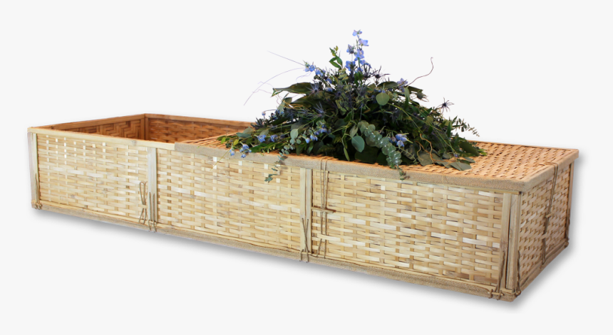 Houseplant, HD Png Download