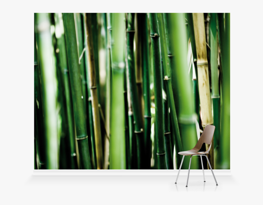 Bamboo, HD Png Download