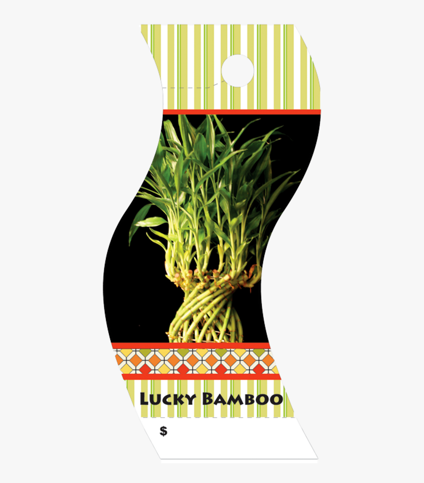 Poster, HD Png Download