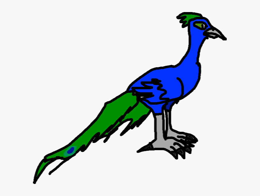 Peafowl, HD Png Download