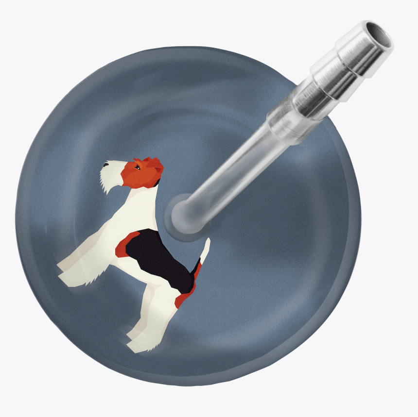 Fox Terrier Stethoscope 
 Class - Stethoscope Ultrascope Avec Initiales, HD Png Download