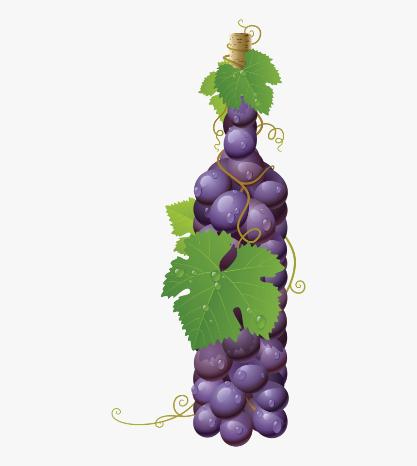 Grape Png Image 
								 Title - Grapes In A Bottle, Transparent Png