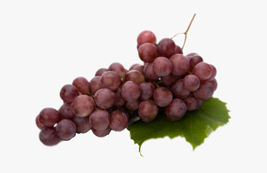 #grapes - Vitis Vinifera Extract, HD Png Download
