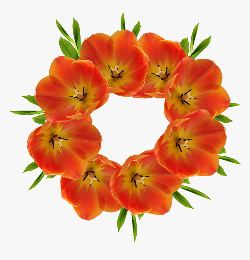 Flower Crowns Png Orange, Transparent Png