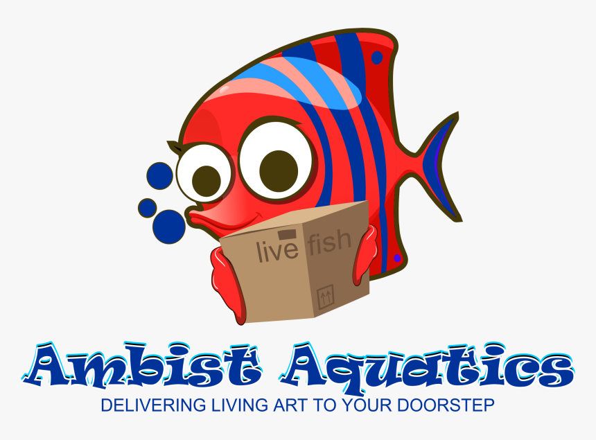 Clip Art, HD Png Download