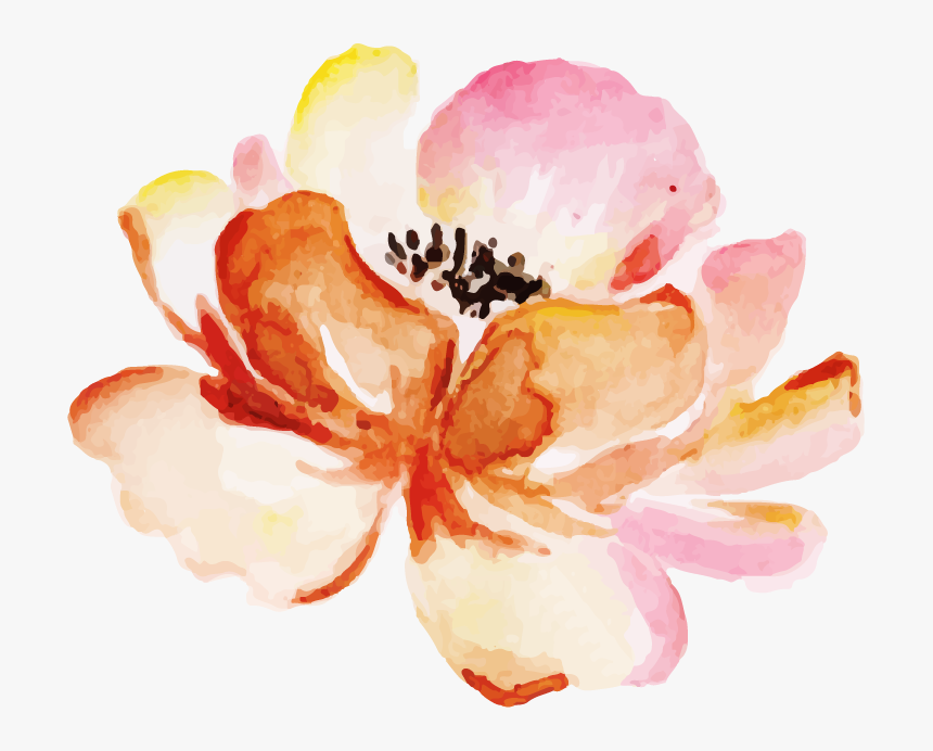Magnolia, HD Png Download