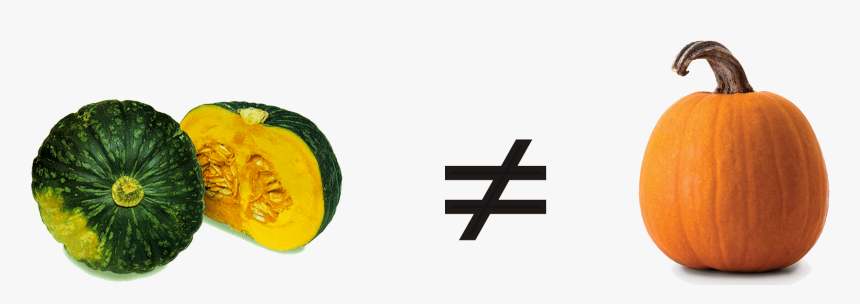 Kabokin - Squash And Pumpkin Difference, HD Png Download