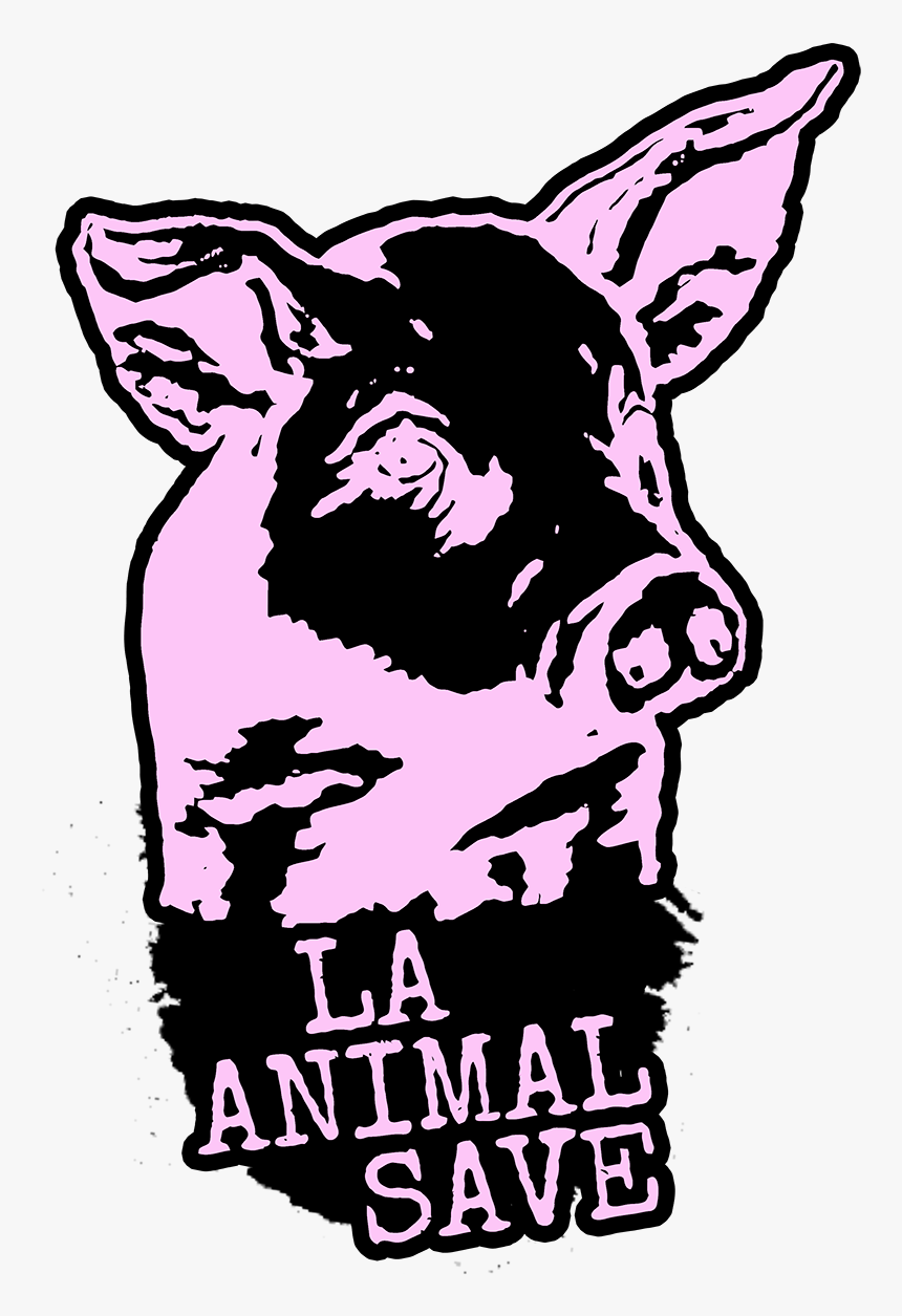 Pig Vigil Information - Illustration, HD Png Download