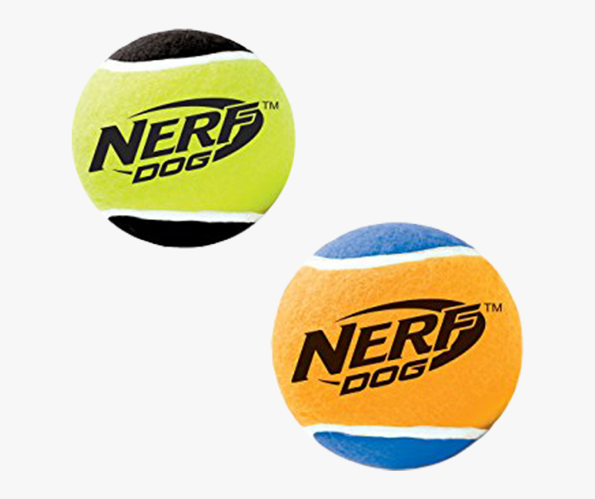 Volleyball, HD Png Download