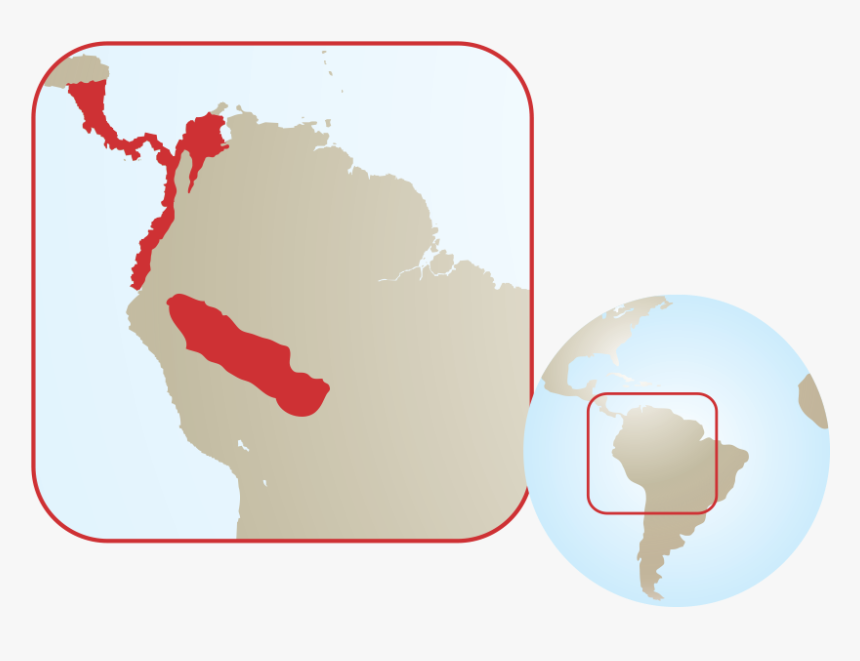 South America Flamingos Range, HD Png Download