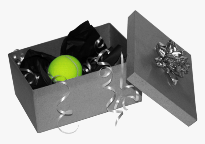 Gifttennissm - College Softball, HD Png Download