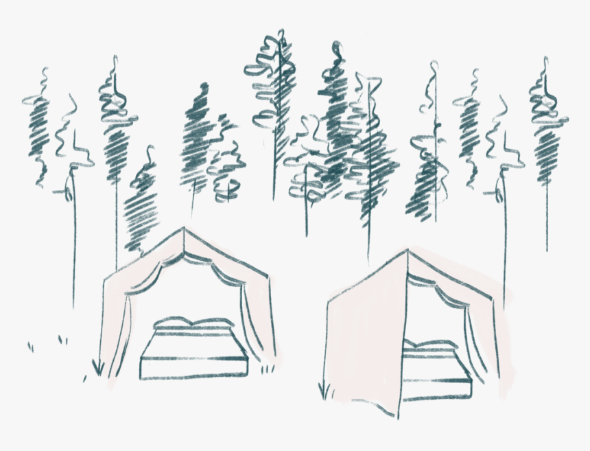 Camping - Lodgepole Pine, HD Png Download