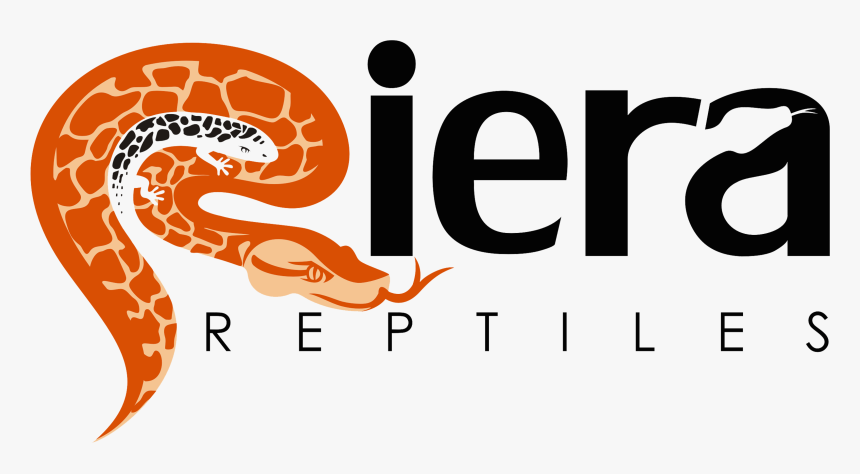 Reptile Breeder Logo, HD Png Download
