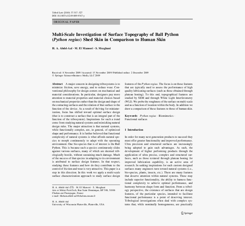 Text Page - Holy Land - The Necropolis, HD Png Download