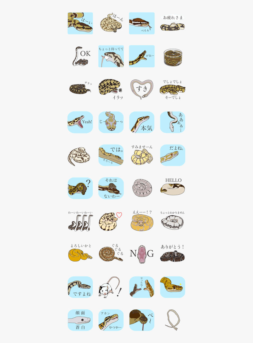 Cool Ball Python, HD Png Download