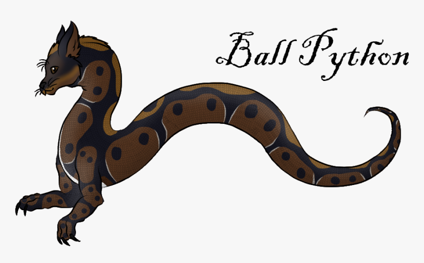 Invertebrate, HD Png Download