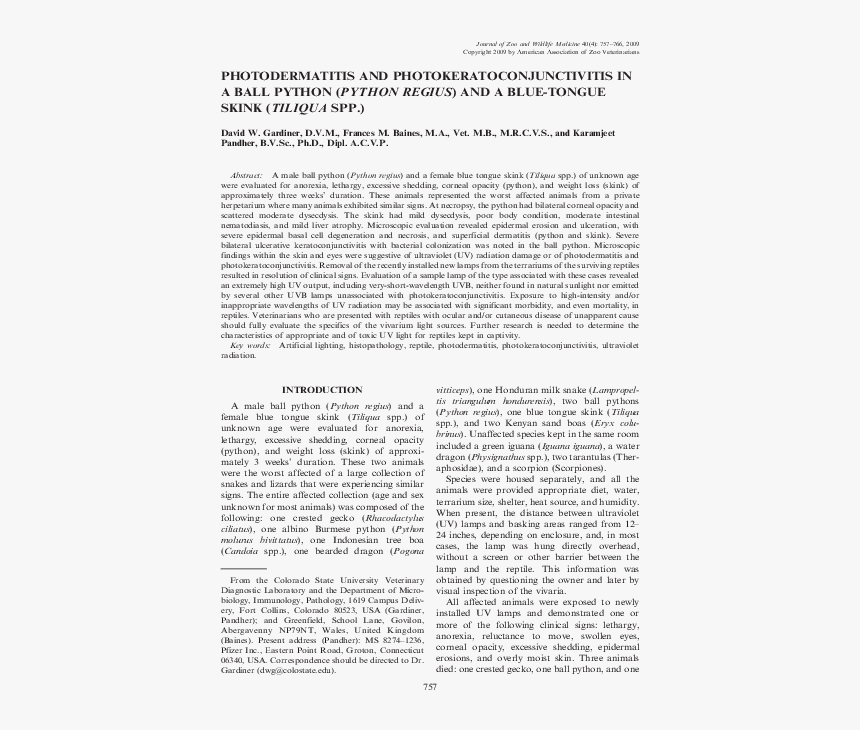 Untitled, Illustration 14, In The Book Foirades / Fizzles, HD Png Download