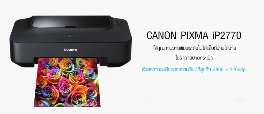 Rainbow Rose , Png Download - Rainbow Rose, Transparent Png