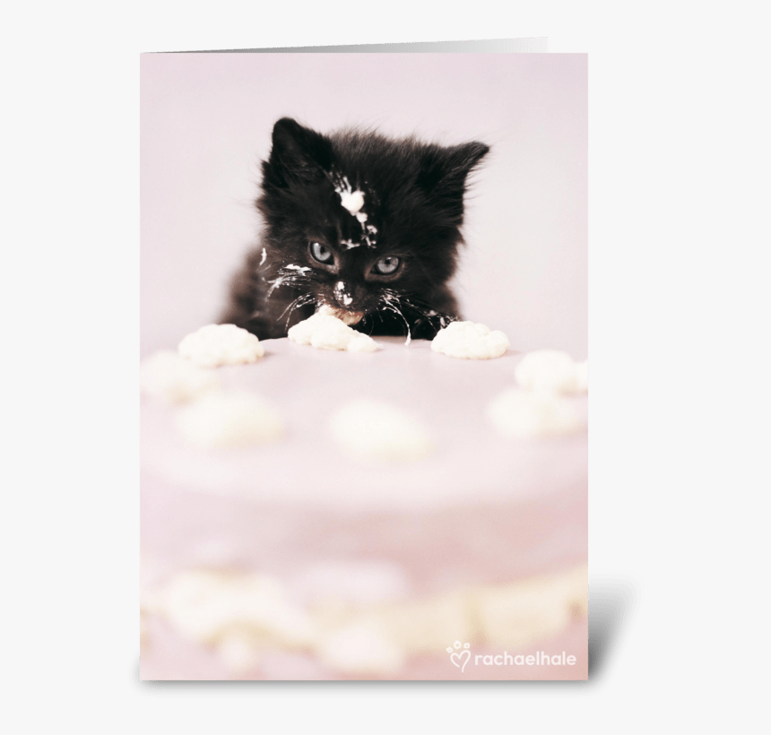 Let There Be Cake Greeting Card - Black Kitten Cake, HD Png Download