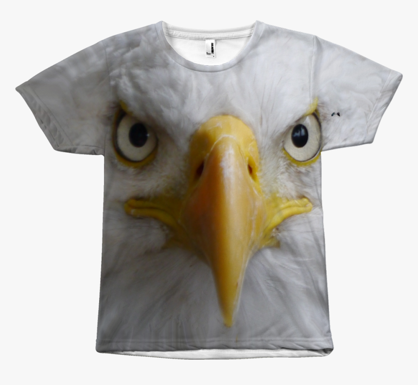 Bald Eagle, HD Png Download