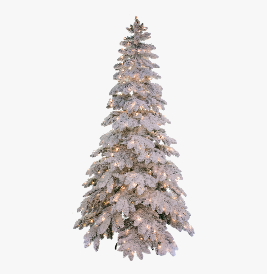 Christmas Tree, HD Png Download