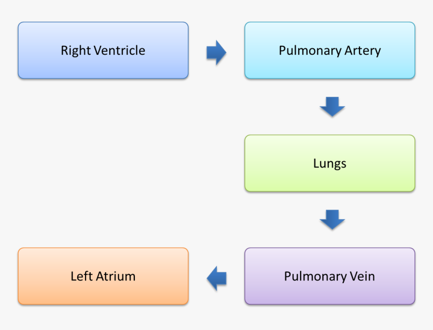 Screenshot, HD Png Download