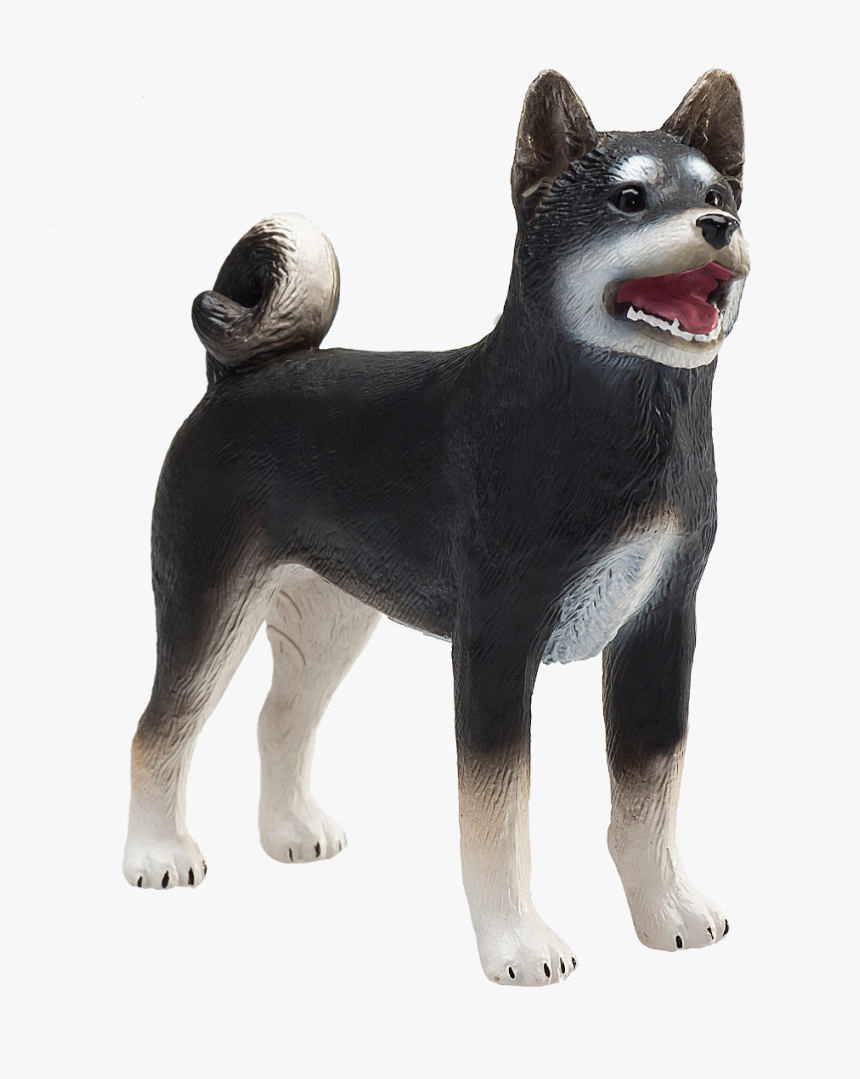 Shiba Inu Black, HD Png Download