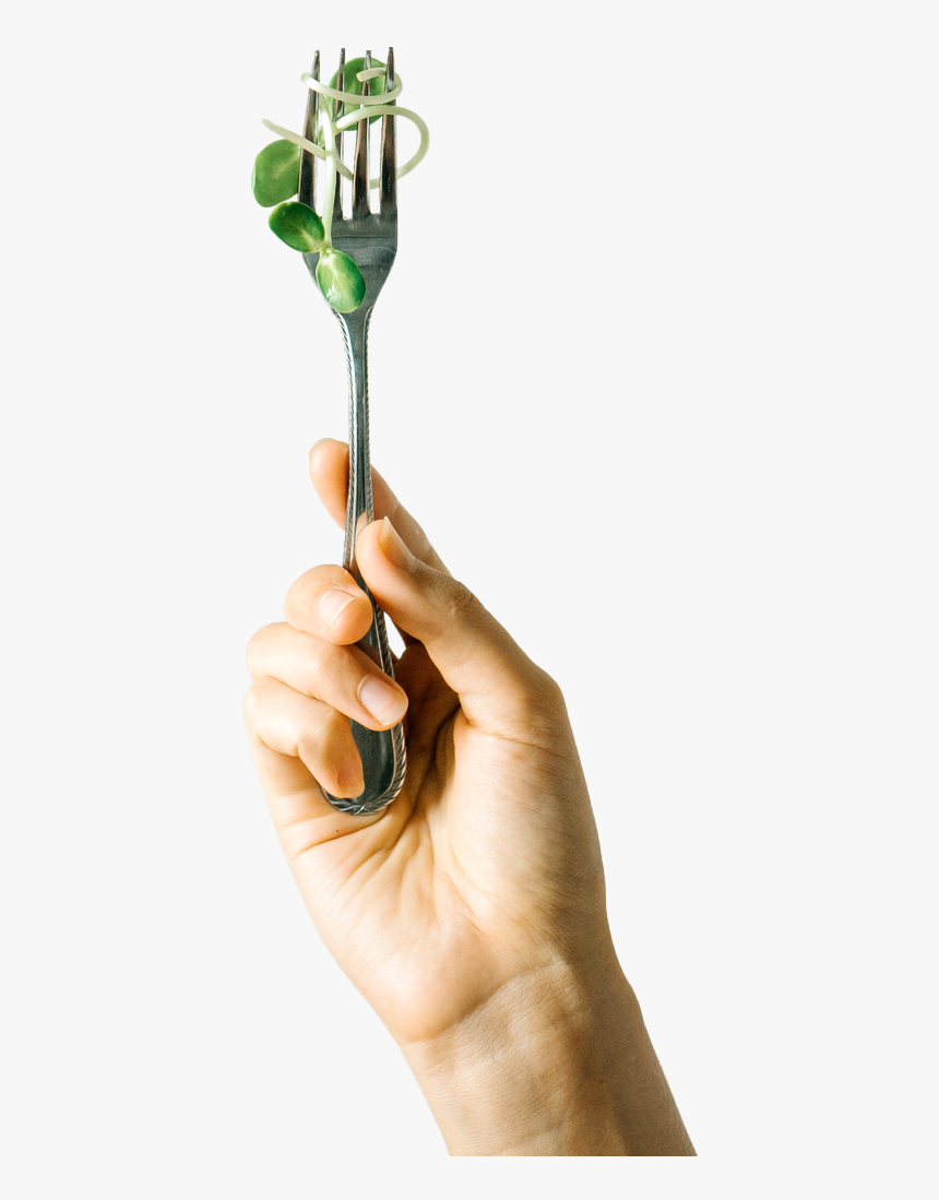 Vote With Fork - Tree, HD Png Download