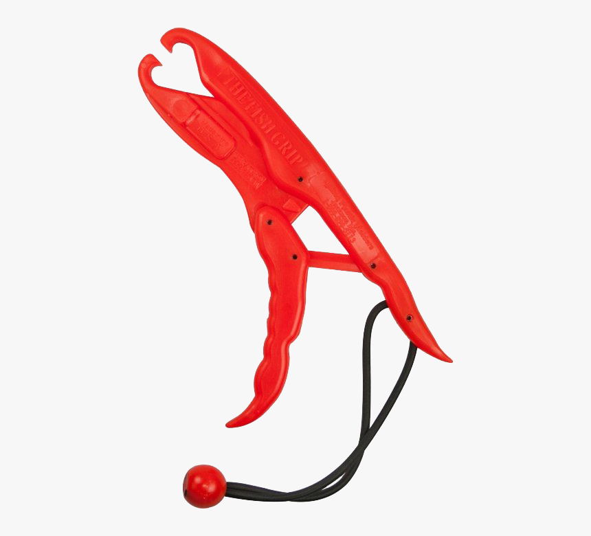 The Fish Grip - Fish Grip, HD Png Download
