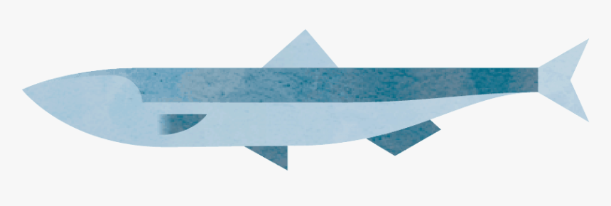 Image Not Found - Ocean, HD Png Download