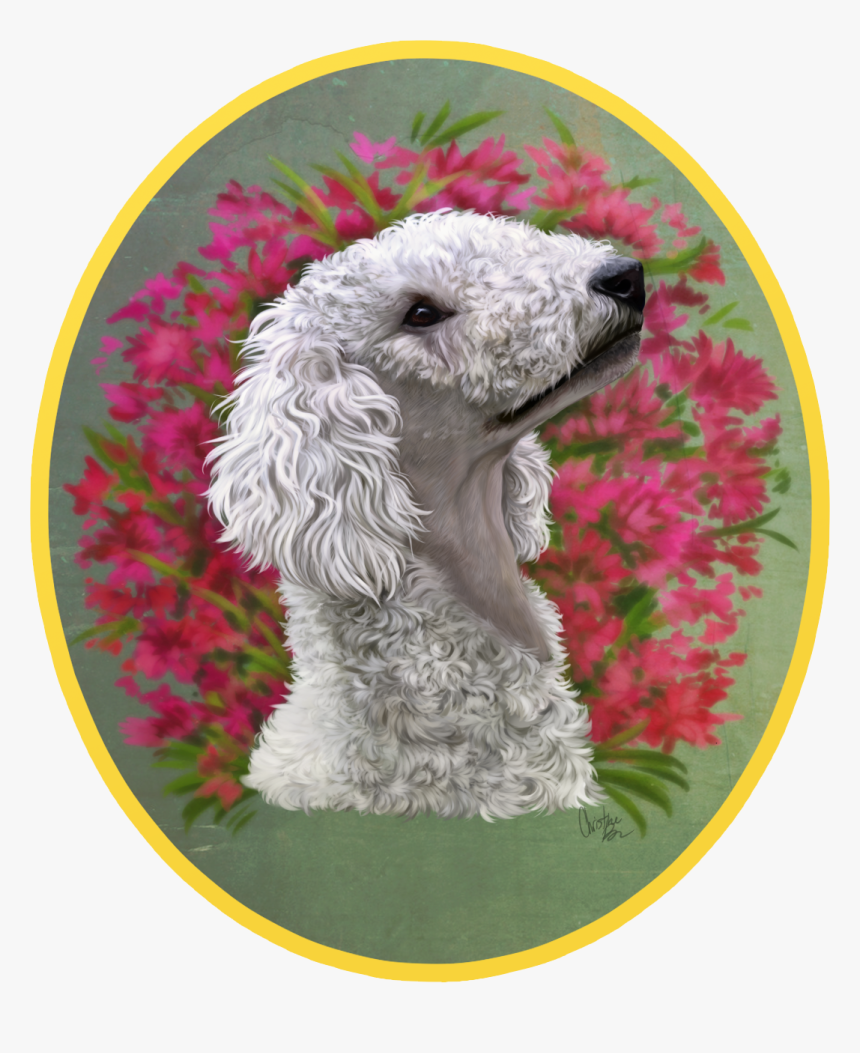 New York Knicks, HD Png Download