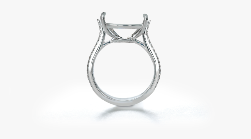 Ring Shank Graphic, HD Png Download
