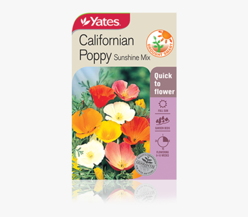 Californian Poppy Sunshine Mix - Plants For Cottage Garden Nz, HD Png Download