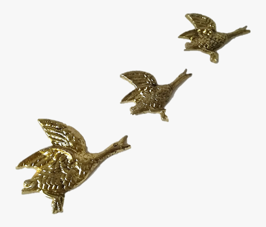 Brassducksed - Eagle, HD Png Download