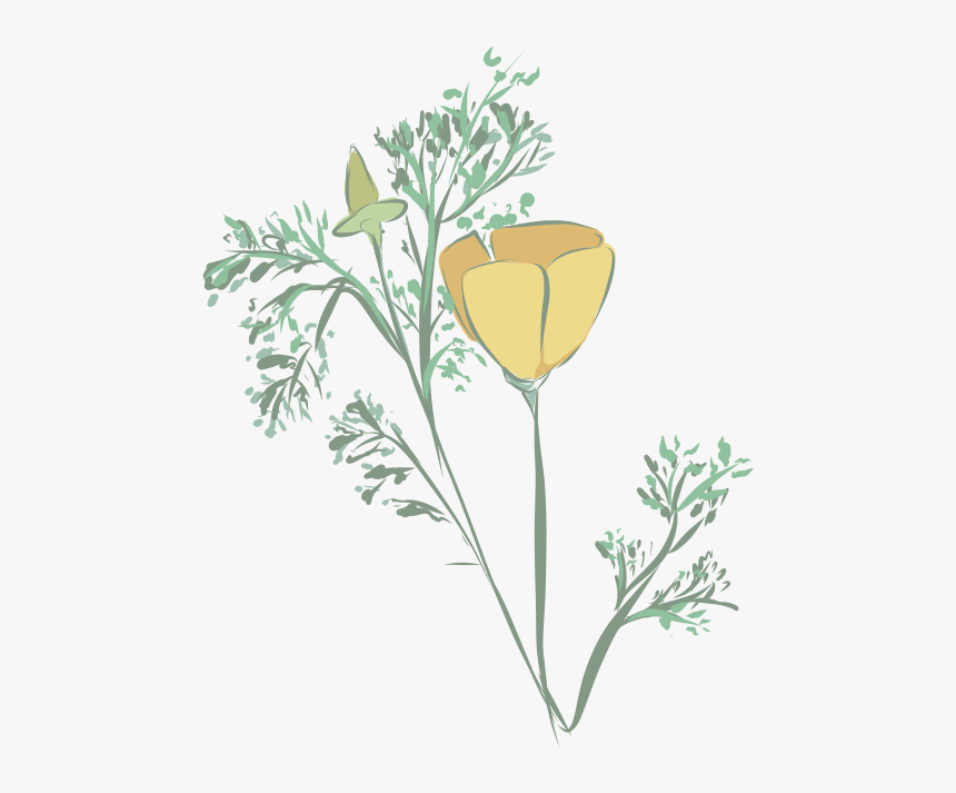 Buttercup, HD Png Download