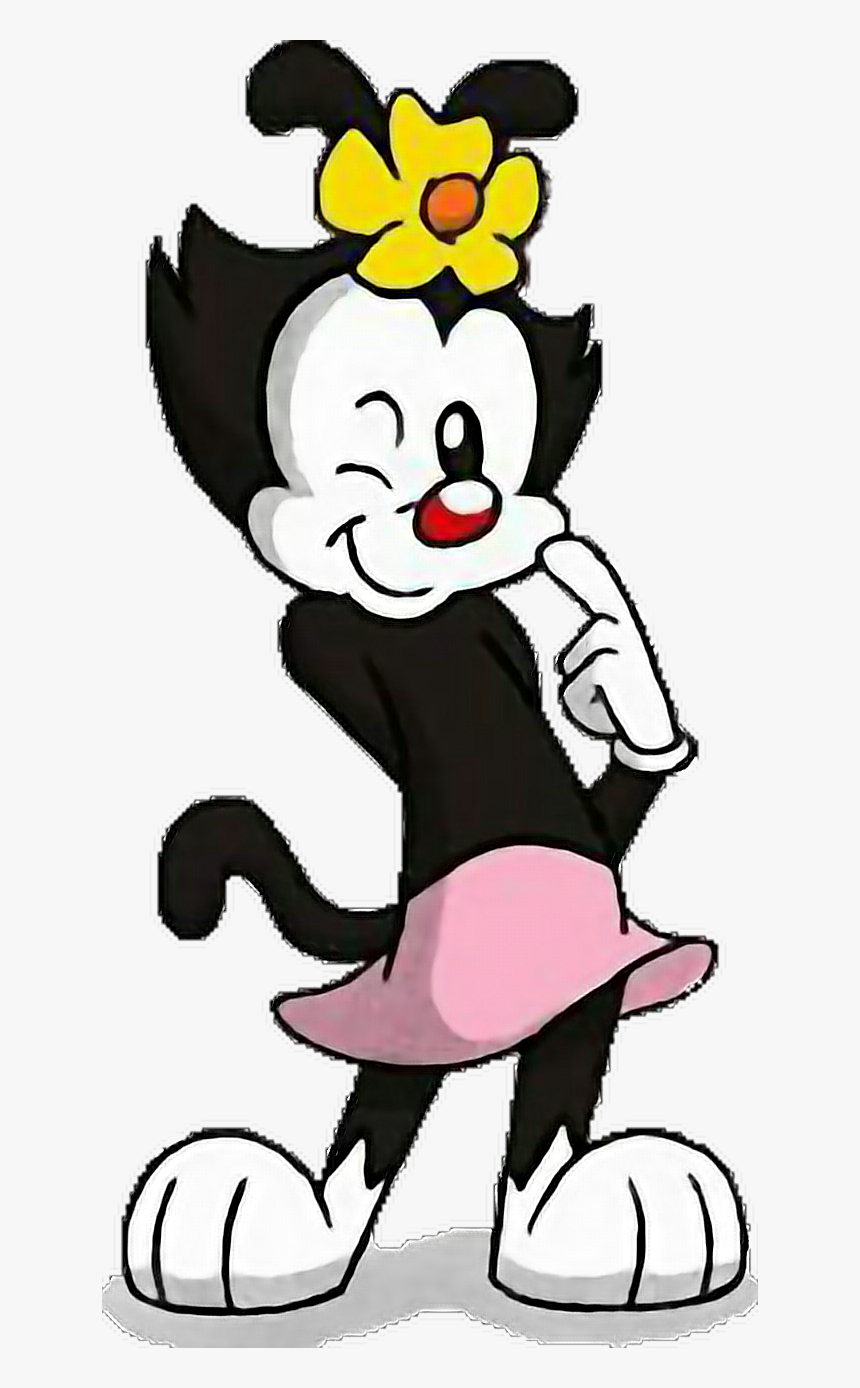 Dot Animaniacs Cartoon Hd Png Download Transparent Png Image Pngitem