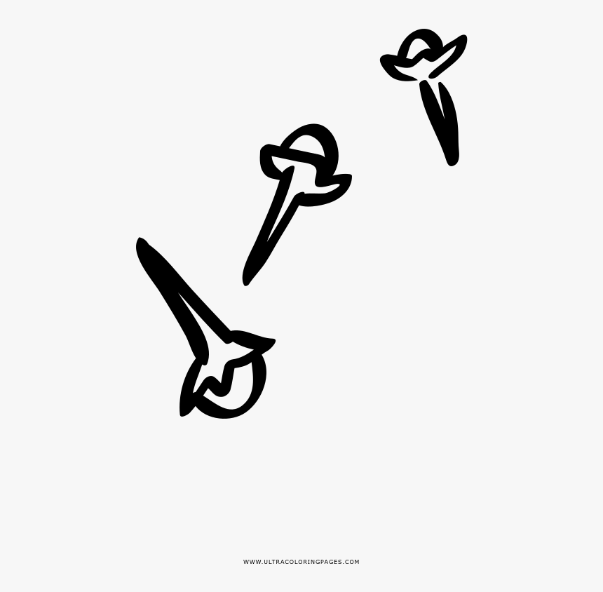Cloves Coloring Page - Clove, HD Png Download , Transparent Png Image