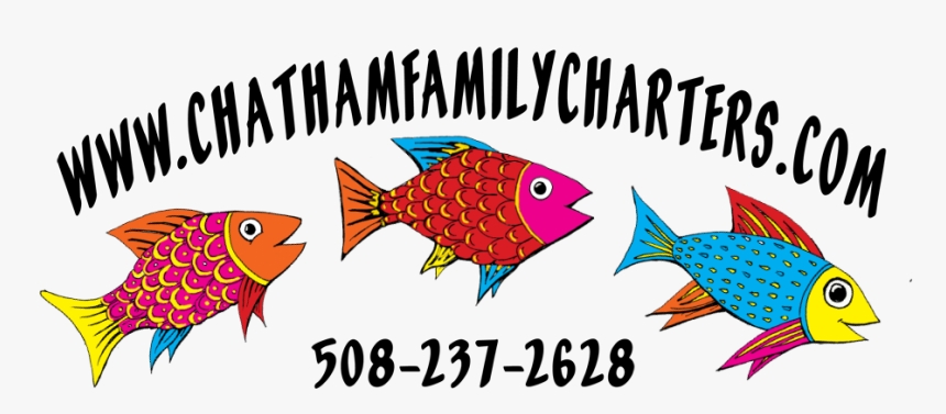 Clipart Striped Bass Fish Picture Free Library Cape - Coral Reef Fish, HD Png Download