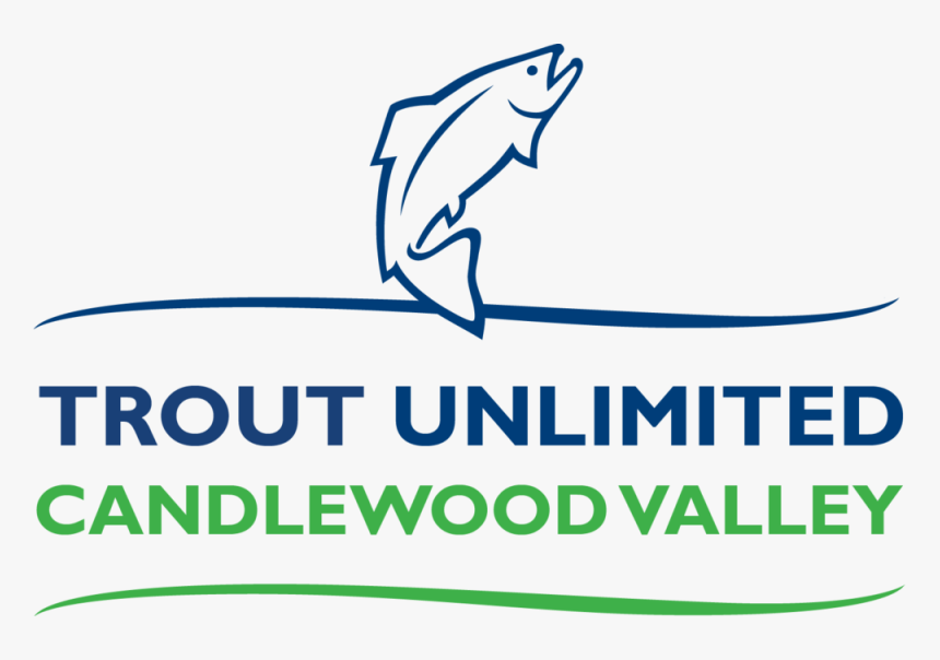 Striped Bass Png, Transparent Png