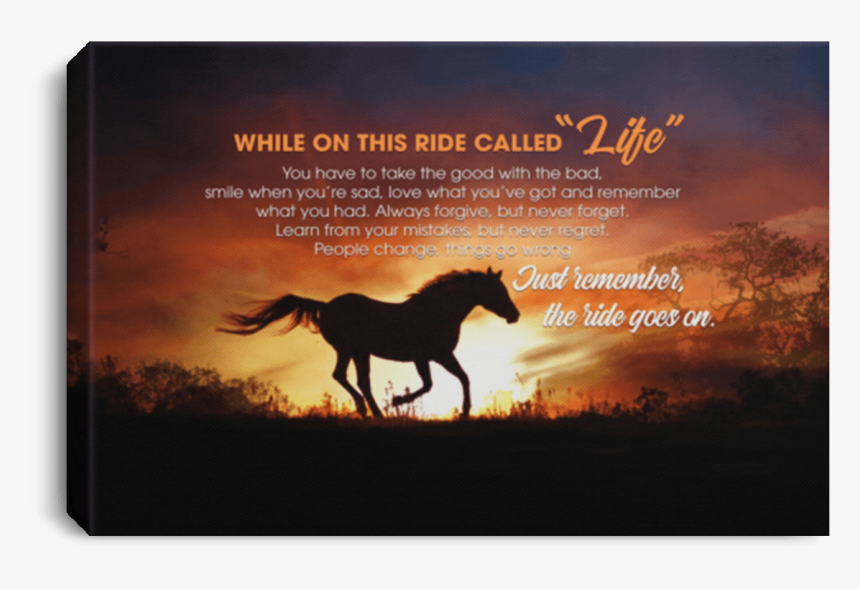 Stallion, HD Png Download