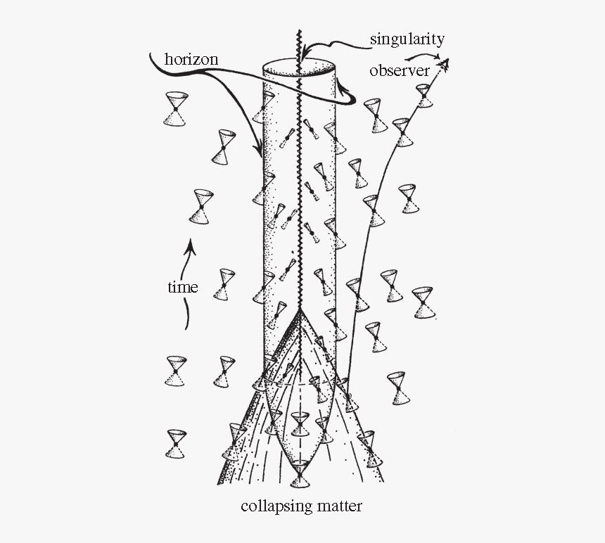 Gravitational Collapse And Light Cones, HD Png Download