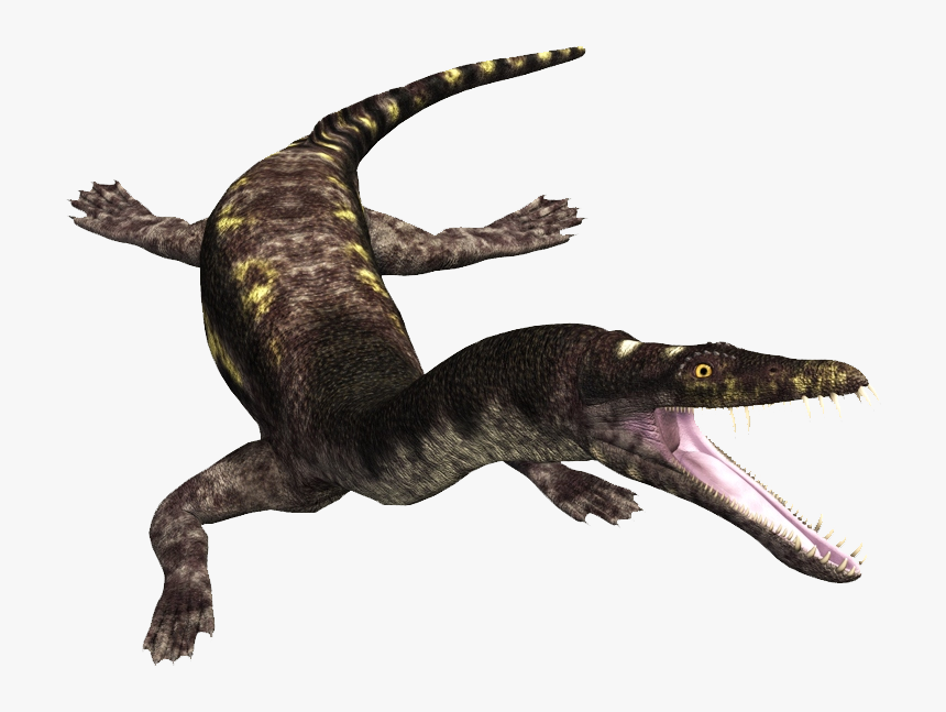 Dinosaurs Nothosaurus, HD Png Download