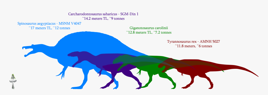 Giganotosaurus Size Comparison, HD Png Download