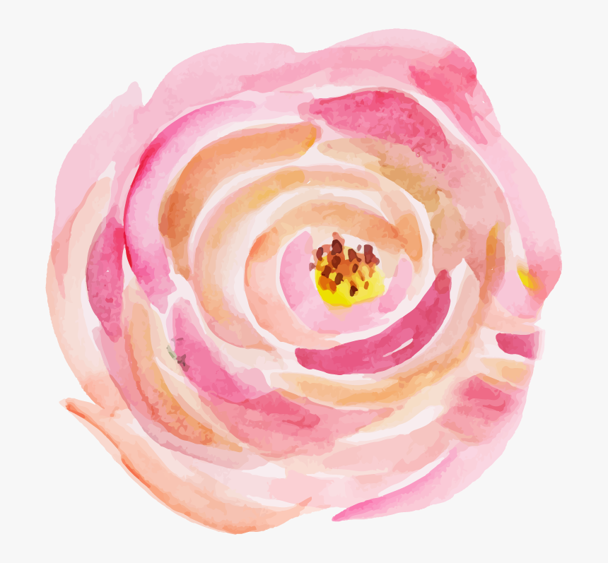 Persian Buttercup, HD Png Download