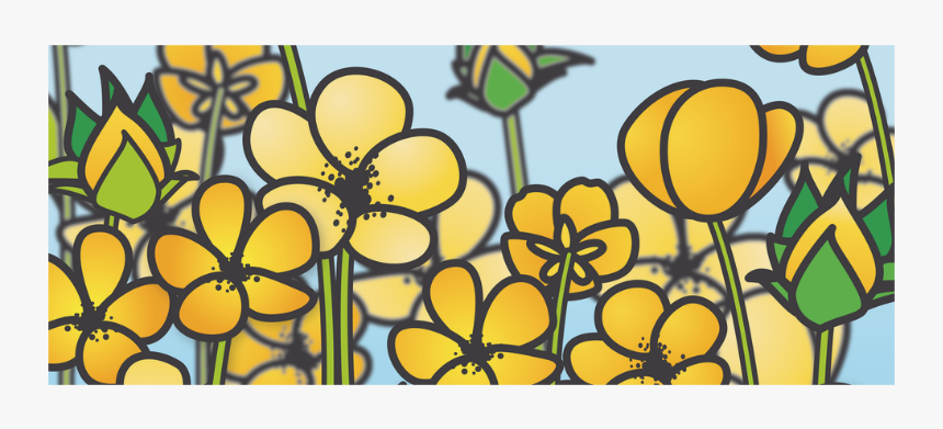 Buttercup Flower Field Yellow Floral Arrangement White - Stained Glass, HD Png Download